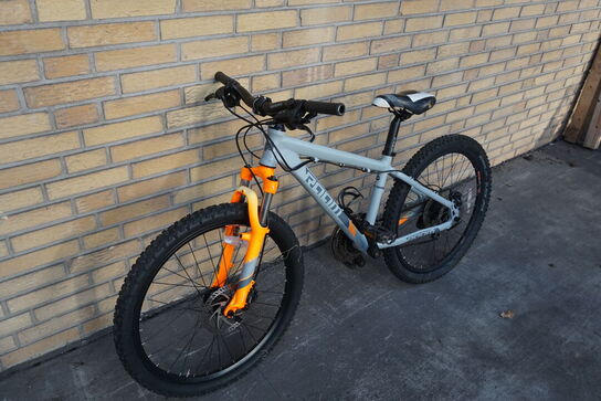 Mountainbike RAAM 