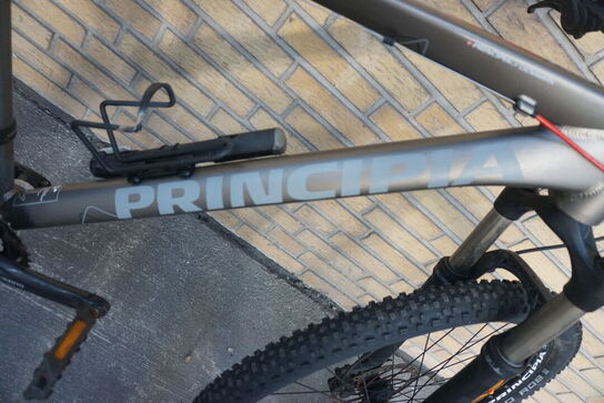 Mountainbike PRINCIPIA EVOKE A8.9