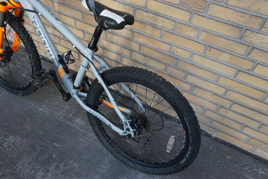 Mountainbike RAAM 