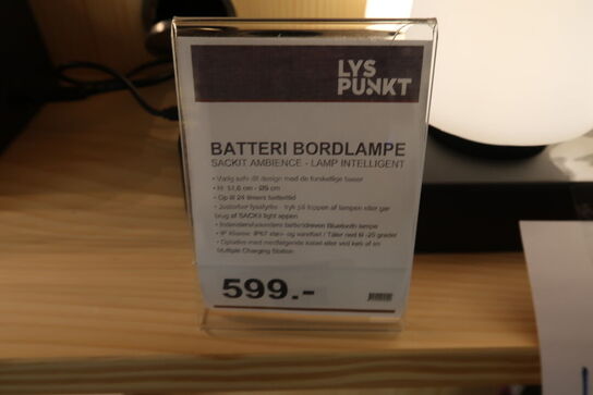 Sackit opladesation med 4 lamper 