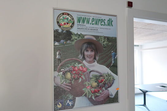 3 stk. plakater samt ildslukker