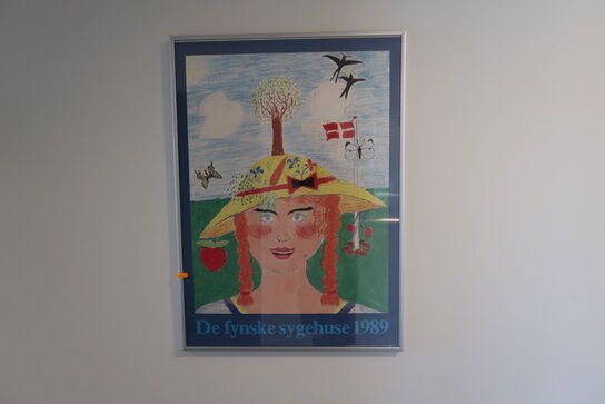 6 stk. plakater