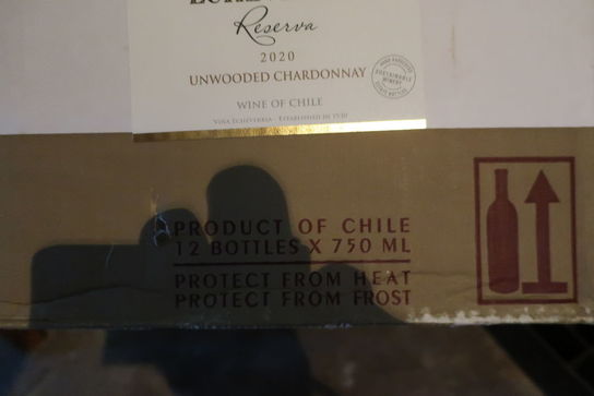 12 flasker hvidvin ECHEVERRIA RESERVA 2020 UNWOODED CHARDONNAY