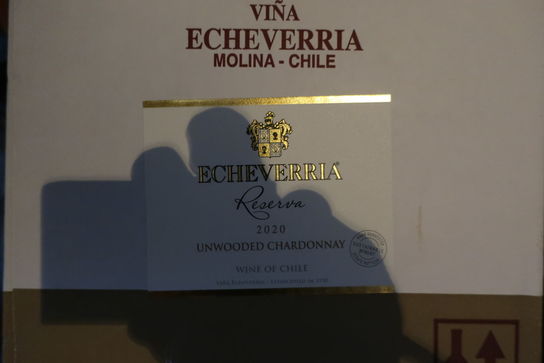 12 flasker hvidvin ECHEVERRIA RESERVA 2020 UNWOODED CHARDONNAY