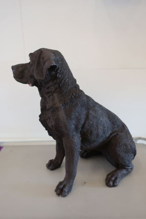 Siddende Labrador brun H50 cm.