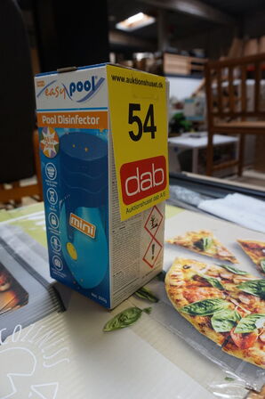 Swim & Fun EasyPool mini alt-i-en pool desinfektion 