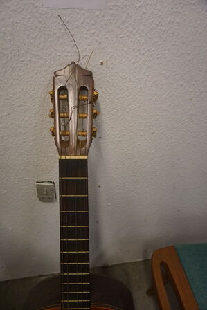 Akustisk guitar, Kasuga G-200 