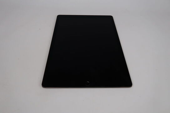 Apple iPad Pro 12.9" 2. Gen Wi-Fi+Cellular 256 GB