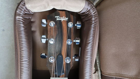 Guitar TAYLOR 214ce