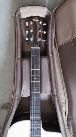 Guitar TAYLOR 214ce