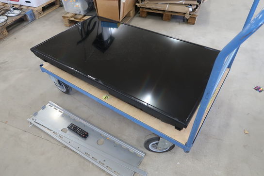 55" Display SAMSUNG ED55D