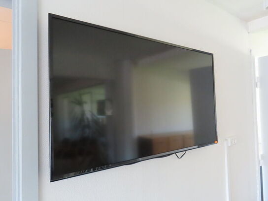 48" LED-TV Panasonic uden fjernbetjening