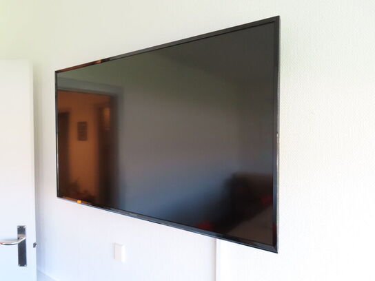 48" LED-TV Panasonic med fjernbetjening