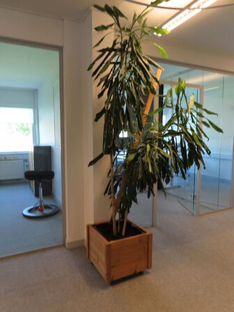Div. planter og krukker