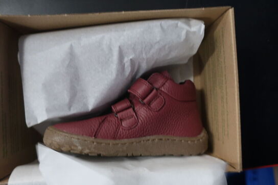 Sko FRODDO Barefoot Autumn G3110227-9 Bordeaux Str: 25