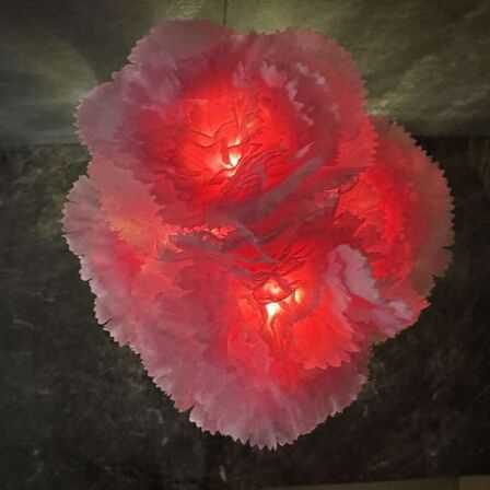 2 stk. LED-blomsterlampe med nelliker i glasvase