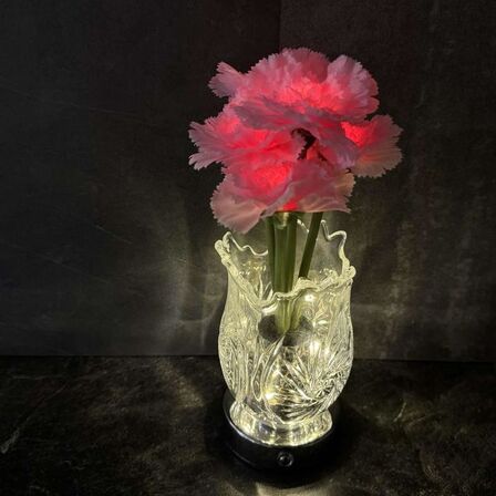 2 stk. LED-blomsterlampe med nelliker i glasvase