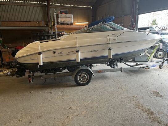 SeaRay 200 Signature 94 20 fods med Variant trailer 1800 kg 