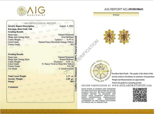 Diamant øreringe med 1.17 ct. Fancy Brownish Orangy Yellow Diamanter - Vejl. pris 19.995,-