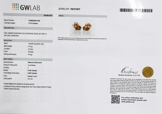 Diamant ørering med 0,80 Ct Oval Brilliant Diamanter - Vejl. pris 15.495,-