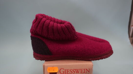 Futsko GIESSWEIN str. 30