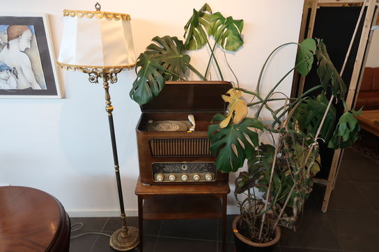 Diverse inventar, lampe og planter 