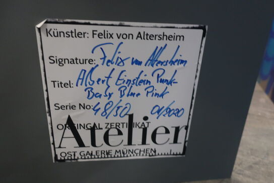 Kunst FELIX VON ALTERSHEIM "Albert Einstein Punk"