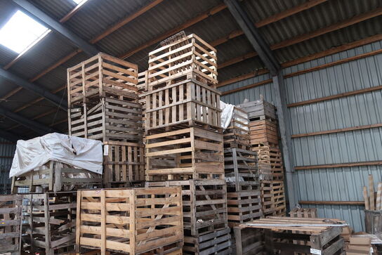 Div. Pallekasser