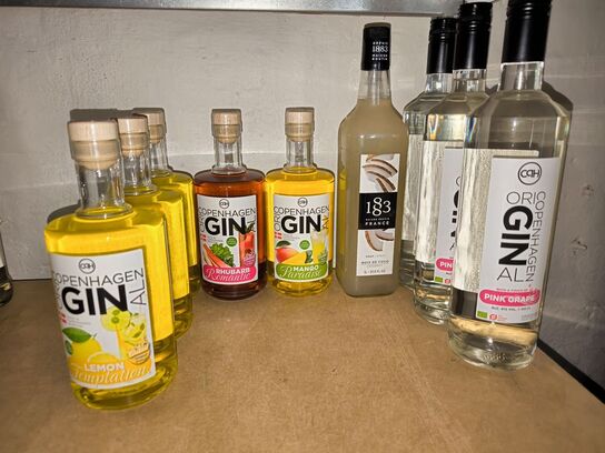 Hylde med GIN samt mixere