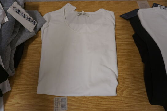 8 stk. T-shirts & 1 stk. Sweatshirt BERKELEY 