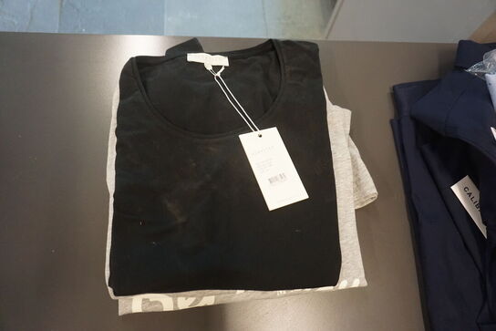 6 stk. T-shirts BERKELEY