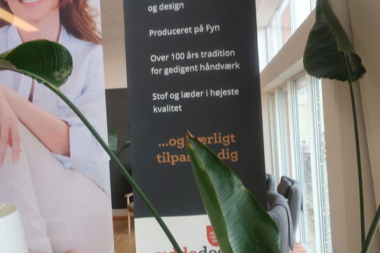 Plante i krukke