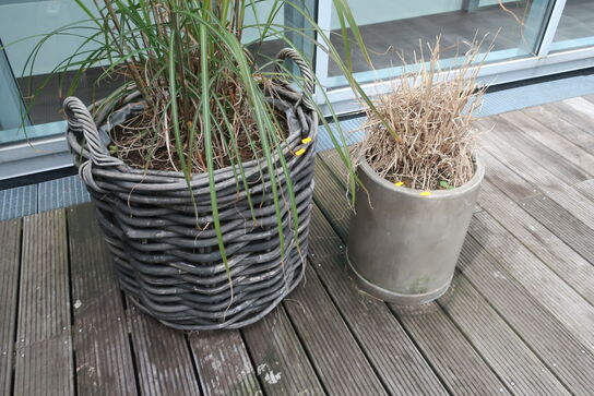 2 stk. planter med krukker