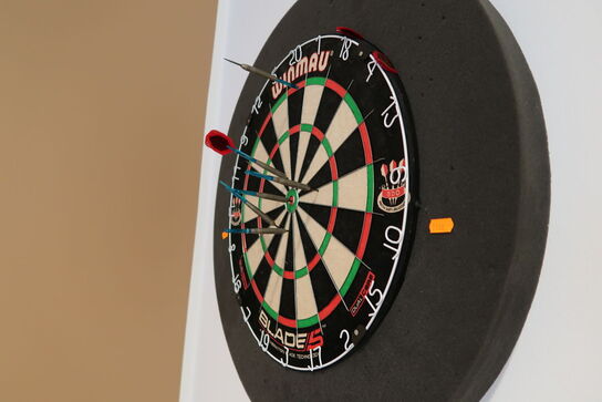 Dartskive WINMAU