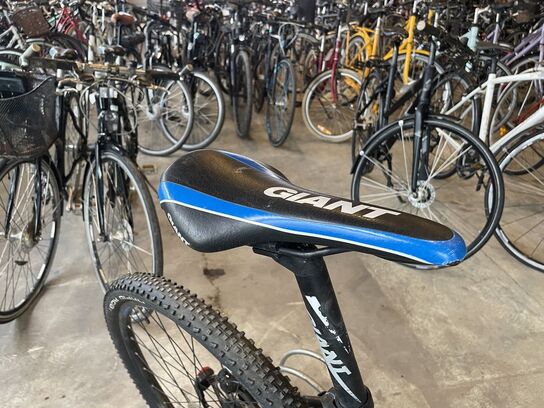 Mountainbike, GIANT DEVEL