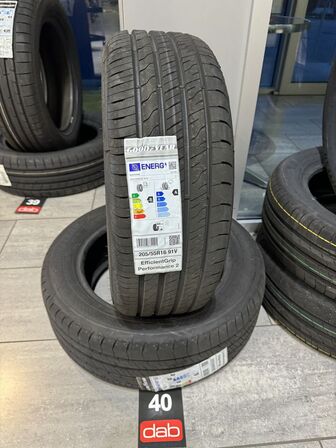 2 stk. Goodyear EfficientGrip Performance 2 205/55 R16 91V