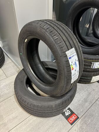 2 stk. Goodyear EfficientGrip Performance 2 205/55 R16 91V