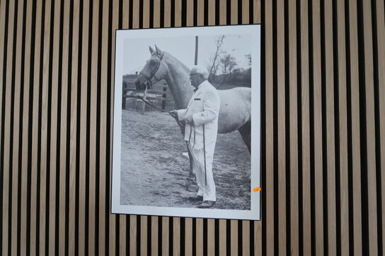 4 stk. billeder