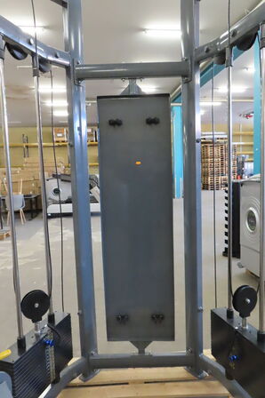 Functional trainer