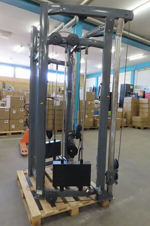 Functional trainer