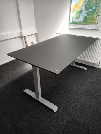 Skrivebord/Mødebord
