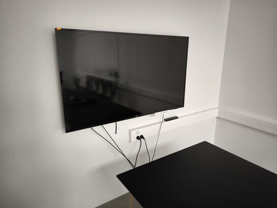 TV PHILIPS 65" med vægbeslag og fjernbetjening