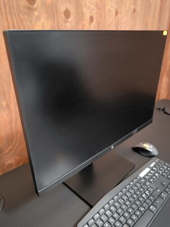 Computerskærm HP Z24