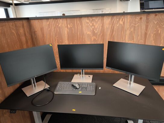 3 stk. computerskærme HP 24"