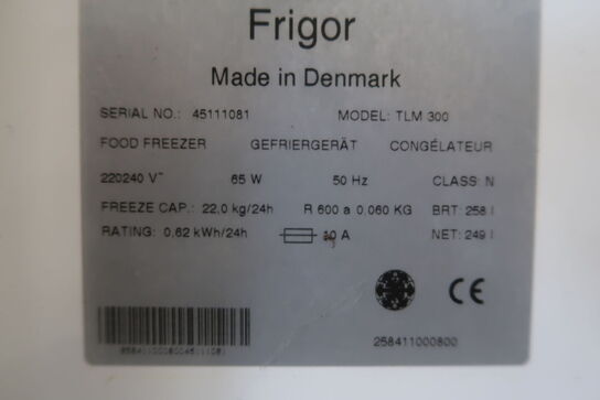 Chest freezer FRIGOR TLM 300