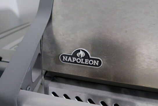 Gasgrill NAPOLEON Rogue SE