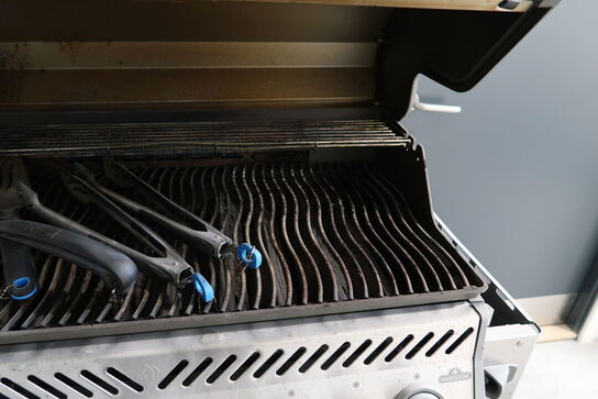 Gasgrill NAPOLEON Rogue SE