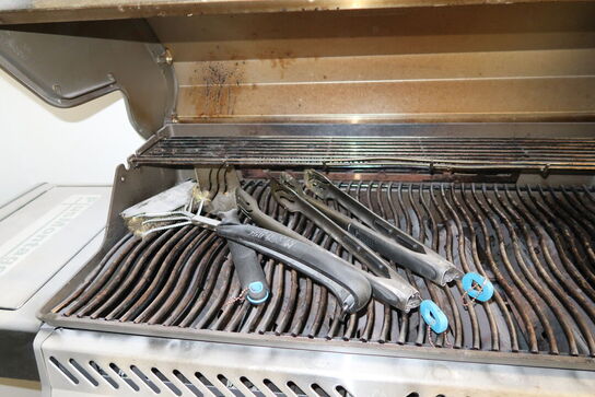 Gasgrill NAPOLEON Rogue SE