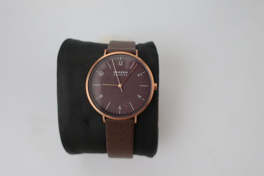 Dameur SKAGEN SKW2971