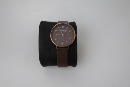 Dameur SKAGEN SKW2971